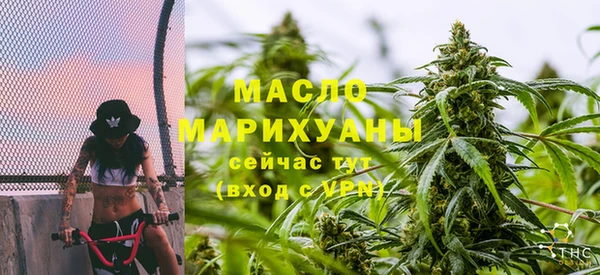 сатива Алзамай