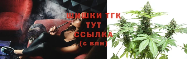 сатива Алзамай