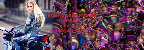 шишки Алексин