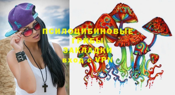 шишки Алексин