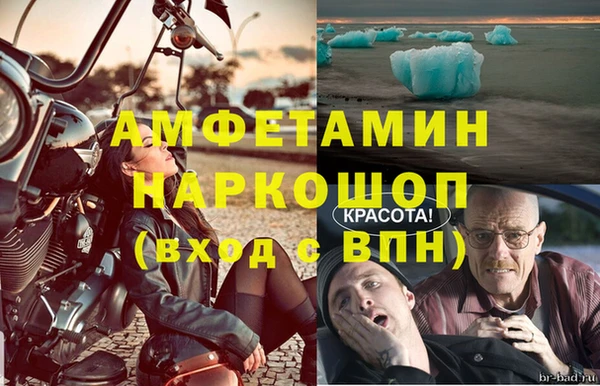 шишки Алексин