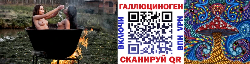 Галлюциногенные грибы Psilocybe  Геленджик 